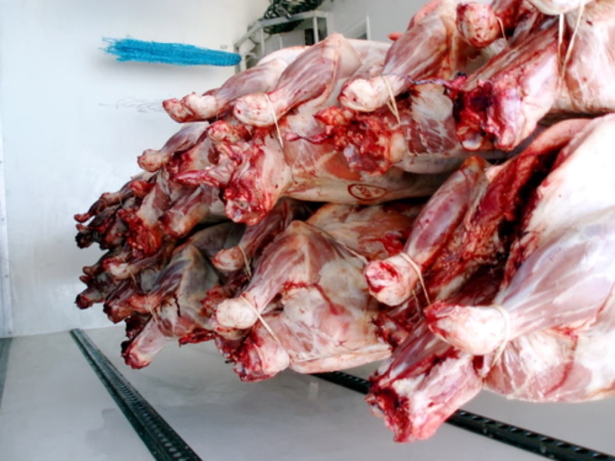 meat 12 p6100445jpgmeat