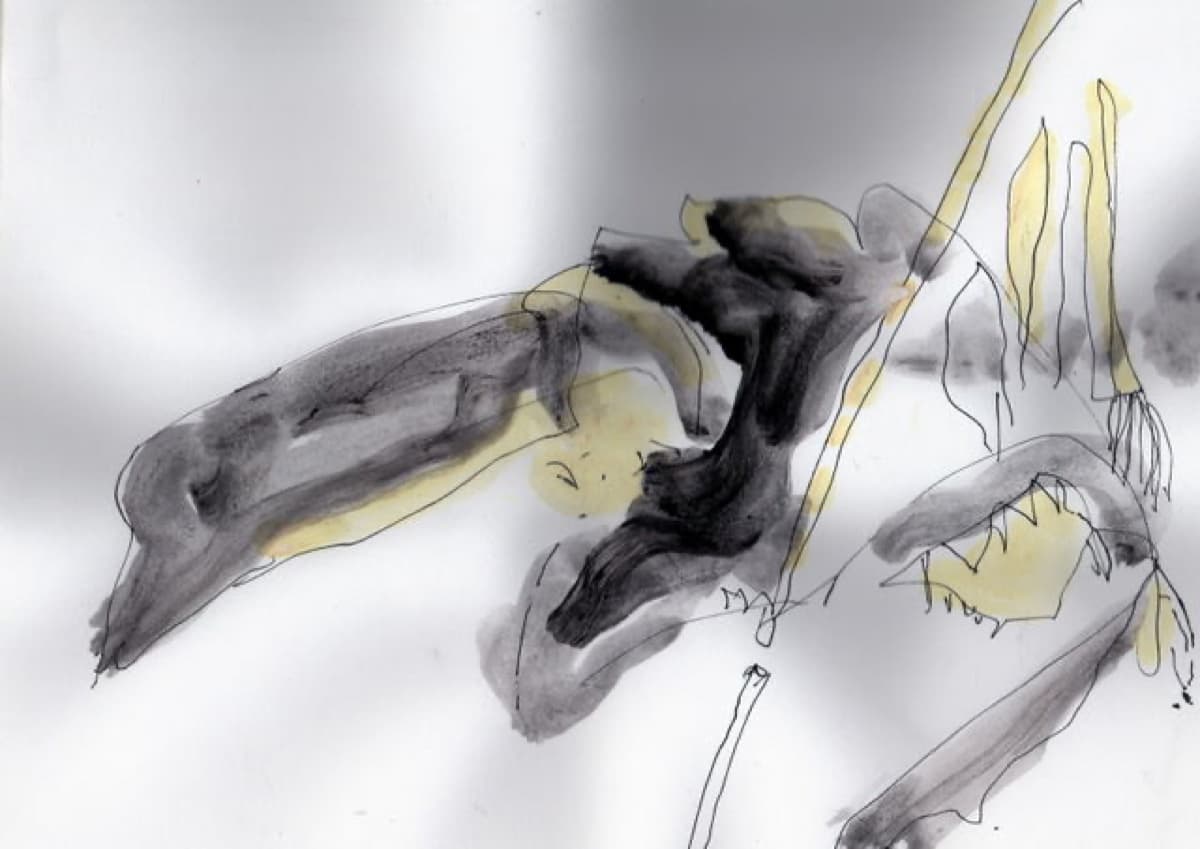 winter reise 06 muc08 10146 ct