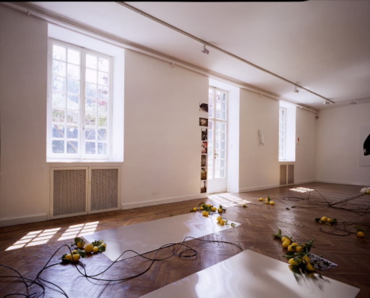 guns shadows 19992000 17 3shadowsguns installationshotbsr 06