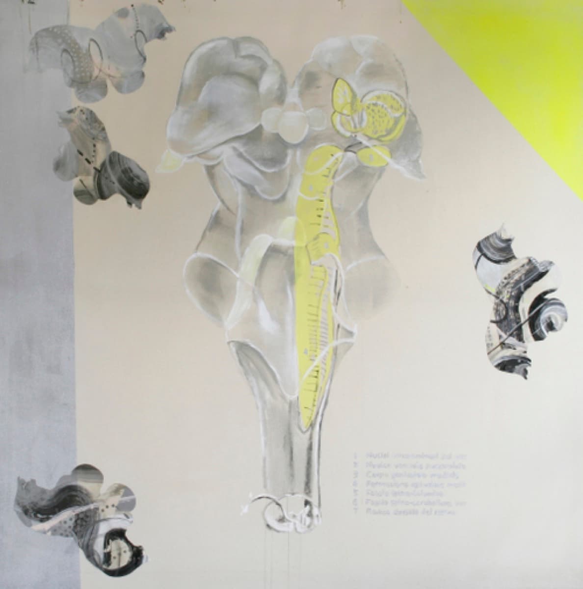 central nervous system 28 medulla4acrylicacetate on canvas182x182c