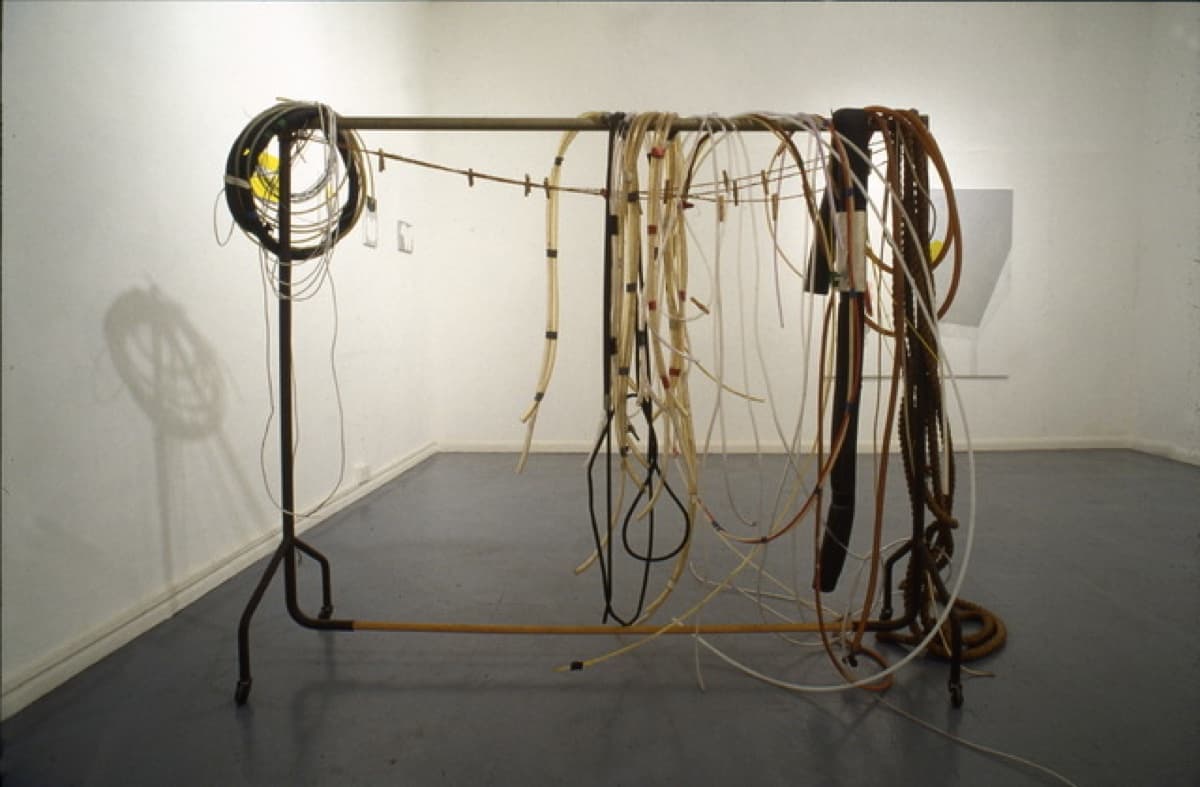 central nervous system 16 hang ups