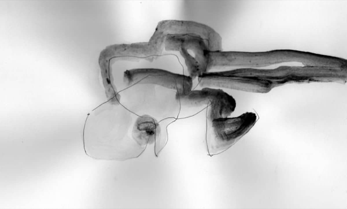 winter reise 14 muc08 7 141 xc