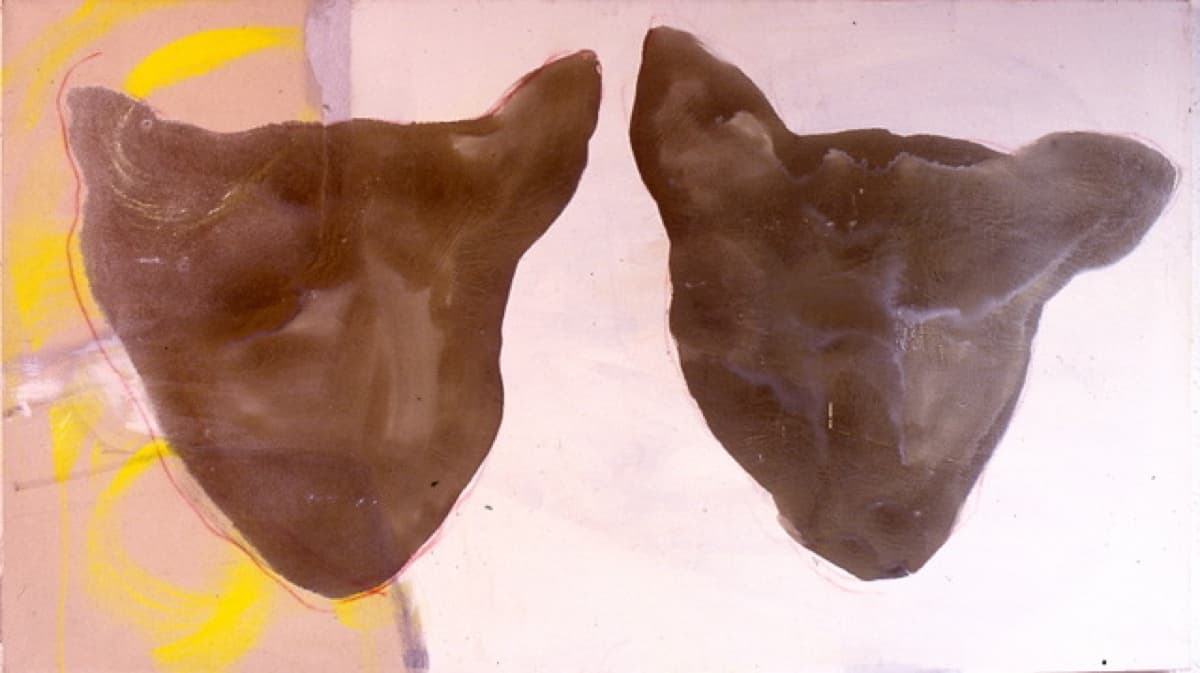 guns shadows 19992000 11 1between us cr