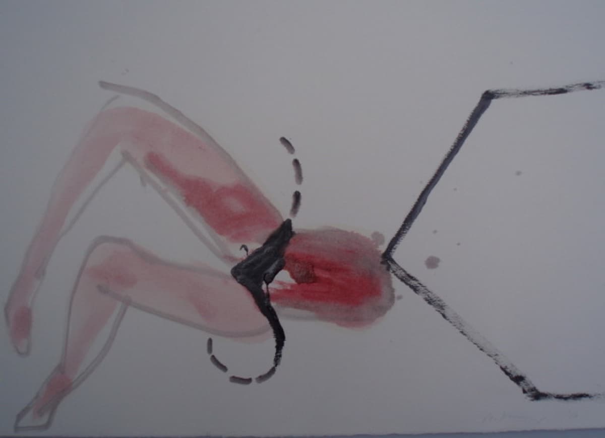 just look at yourself 19 pb030465 spider cr