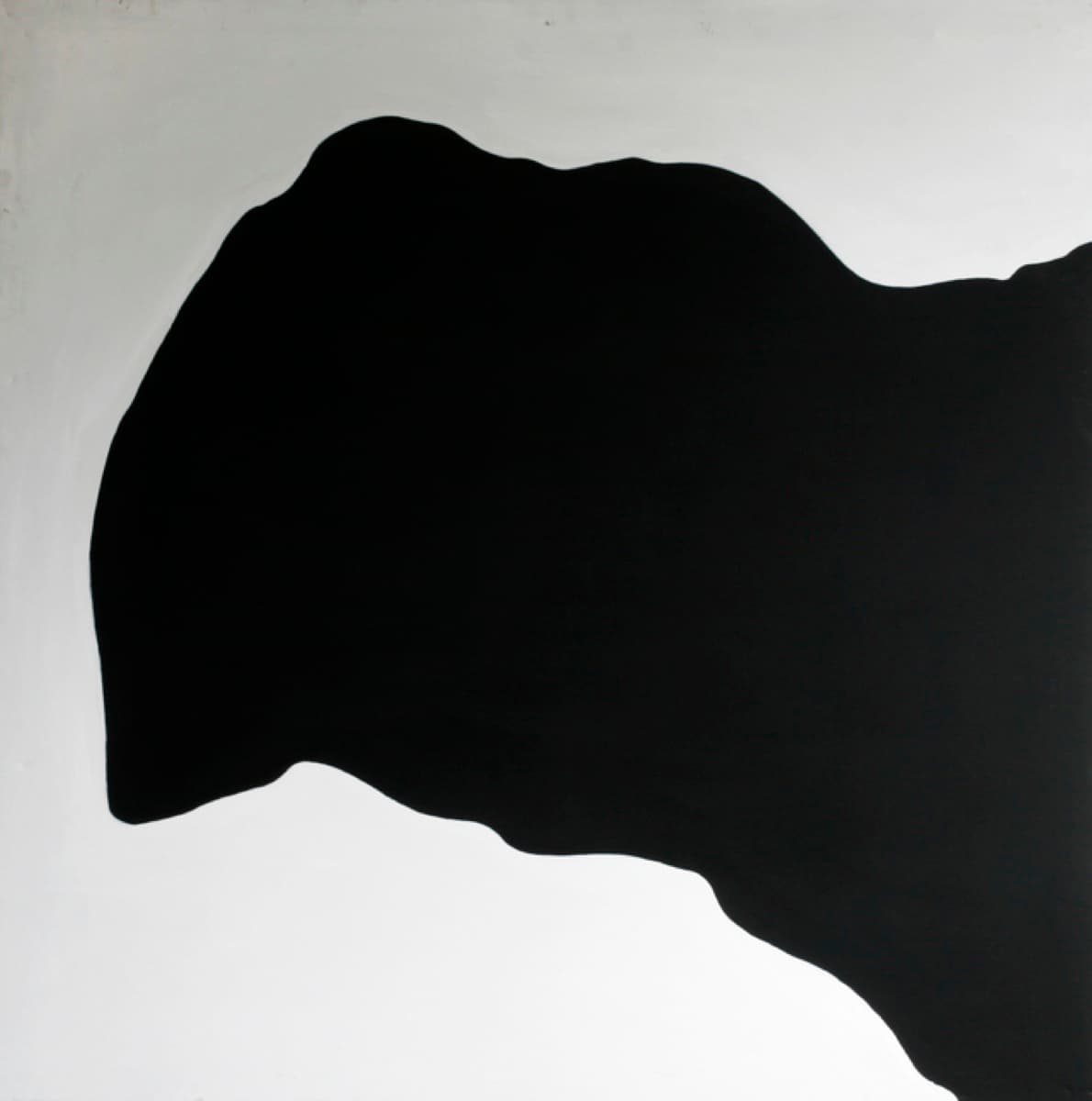 guns shadows 19992000 13 20shadow