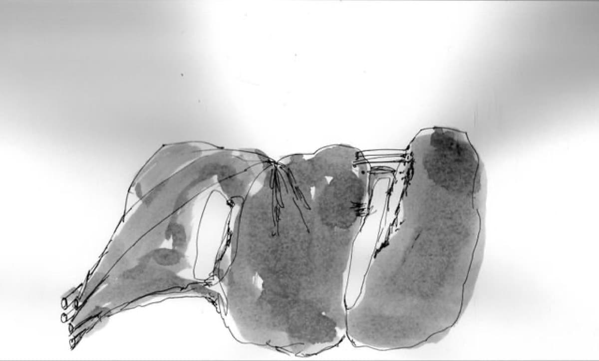 winter reise 11 muc08 4138 t